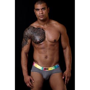 Изображение Herren-Slip in Grau