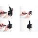 Изображение Brodit Halter Aktiv, 12/24V, für  Apple iPhone 3G / iPhone 3G S, Für Vertikale + Horizontale Position
