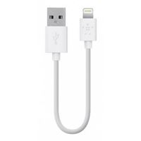 Изображение F8J023bt06INBLK, Belkin Datenkabel Lightning auf USB für  Apple iPad 4 / iPad Air / iPad Air 2 / iPad Mini / iPad Mini 2 Retina / iPad Mini 3, 15 cm