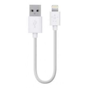 Изображение F8J023bt06INBLK, Belkin Datenkabel Lightning auf USB für  Apple iPad 4 / iPad Air / iPad Air 2 / iPad Mini / iPad Mini 2 Retina / iPad Mini 3, 15 cm