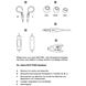 Obrazek Jabra RHYTHM Stereo-Headset WHITE - Anschluss 3,5 Klinke - Mit Mikrofon
