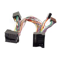 Изображение ISO2CAR - ADAPTER für Ford Mondeo / Focus / C-Max / S-Max / Galaxy / Fiesta / Sony 6000 Radio , der 2 x 12 Pin Mini Fakra ist komplett belegt