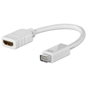 Resim Adapter: Mini DVI Stecker auf HDMI-Buchse