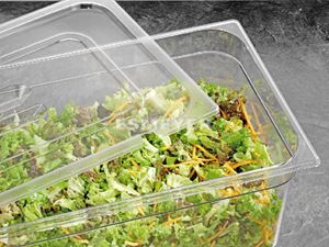 Bild von Blanco Gastronormbehälter transparent