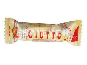 Picture of GIOTTO