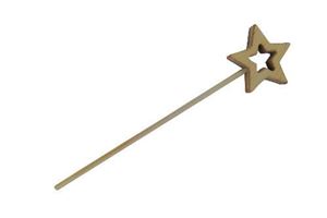 Image de Feenstab Stern