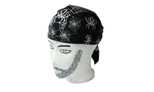 Picture of Bandana Spinne