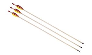 Obrazek Sportpfeil mit Stahlspitze 70 cm