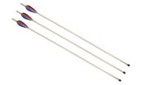 Imagen de Sportpfeil mit Pfropfen 68 cm