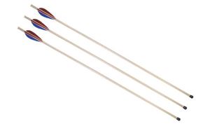 Obrazek Sportpfeil mit Pfropfen 68 cm