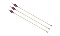 Imagen de Sportpfeil mit Pfropfen 50 cm