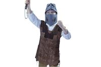 Obrazek Ritter Wächter