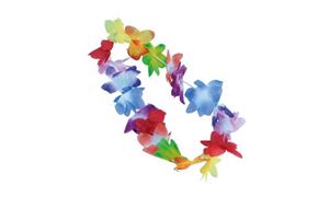 Image de Blumenkette bunt