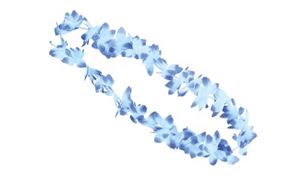Picture of Hawaii-Blumenkette blau-weiß
