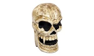 Afbeelding van Totenkopf 3D