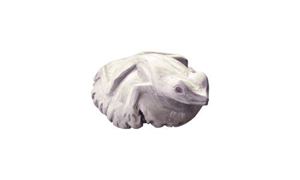 Image de Frosch geschnitzt