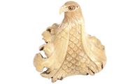 Bild von Parasitholz Adler