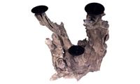 Resim Verknorpeltes Holz mit 3 Kerzenhalter