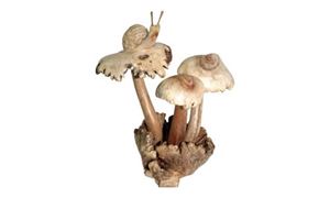 Imagen de Schnecke auf Pilz