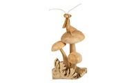 Picture of Gottesanbeterin auf Pilz