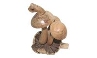Image de Frosch auf Pilzen