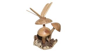 Immagine di Libelle auf Pilzen