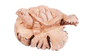 Imagen de Schildkröte auf Parasitholz