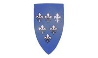 Bild von Paladinschild Lilie blau
