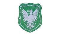 Obrazek Schild Elegant Adler grün