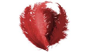 Image de Feder rot