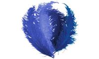 Image de Feder blau