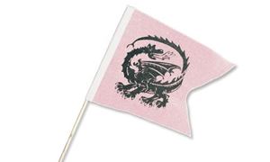 Obrazek Ritterfahne 38x28cm Drache weiß