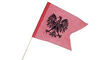 Obrazek Ritterfahne 38x28cm Adler rot