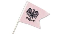 Obrazek Ritterfahne 38x28cm Adler weiß