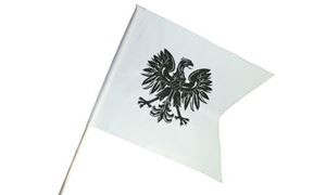 Obrazek Ritterfahne 58x43cm Adler weiß