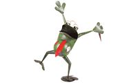Image de Frosch Mag