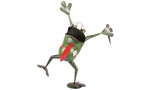 Image de Frosch Mag