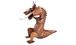 Image de Drache "Diego"