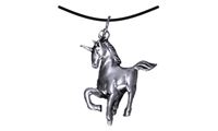 Resim Anhänger Einhorn silber