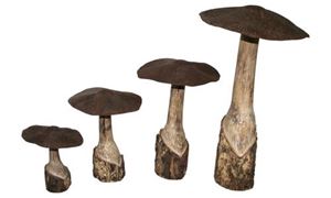 Bild von Pilz mit Blechkappe