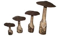 Bild von Pilz mit Blechkappe Ø 21 cm
