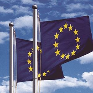 Bild von FahnenmastFAHNENMAST-KOMPL ETT-SET       639709