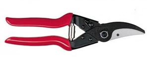 Bild von Gartenschere Felco 5FELCO OBSTBAU U GARTENSCHERE    NR 5