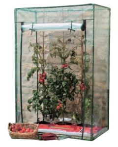 Obrazek TomatengewächshausTOMATENGEWAECHSH AUS            08720