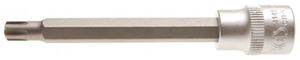 Bild von Biteinsatz 10 (3/8), Ribe, M7x100 mm