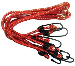 Bild von Gepäckspinne, 8-armig 6 kg Zugkraft BGS