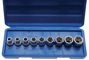 Bild von Spezial-Steckschlüsseleinsätze f. E-Profil 9 tlg. E10 - E24 1/2 BGS
