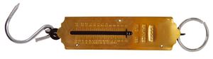 Obrazek Taschenfederwage, bis 25 kg, BGS,  Wv_8033