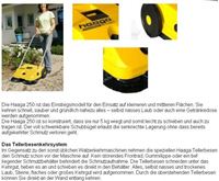 Bild von Haaga Kehrmaschine Mod. 250 mit Tellerbesenkehrsystem