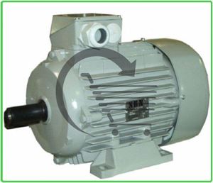Immagine di SBN Drehstrommotor 0,75 kW / 3000 U/min.